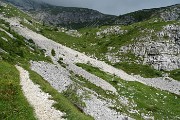 96 Sul sent. 222 (basso) del Sentiero dei fiori, risalendo a Capanna 2000